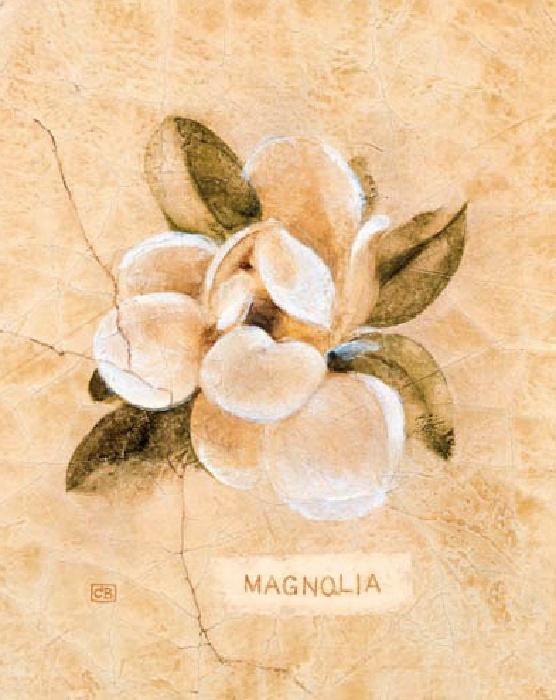 Cheri Blum Magnolia on Cracked Linen